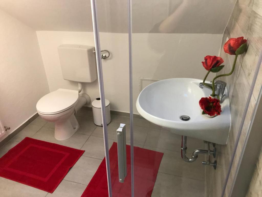 Haus Astenblick In Winterberg Fuer Bis Zu 35 Personen Fuer Wanderveranstaltungen Und Familienfeiern Ngoại thất bức ảnh