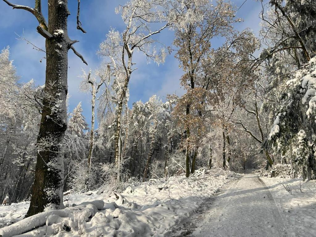 Haus Astenblick In Winterberg Fuer Bis Zu 35 Personen Fuer Wanderveranstaltungen Und Familienfeiern Ngoại thất bức ảnh